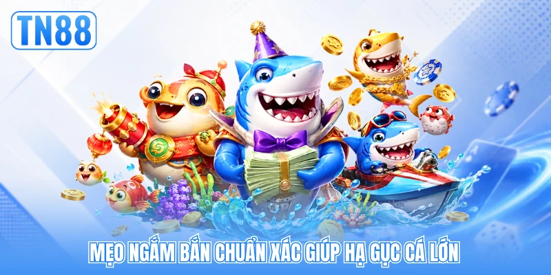 Mẹo ngắm bắn chuẩn xác giúp hạ gục cá lớn Mẹo ngắm bắn chuẩn xác giúp hạ gục cá lớn