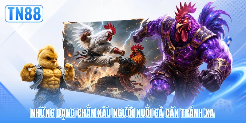 Những dạng chân xấu người nuôi gà cần tránh xa