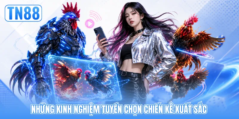Những kinh nghiệm tuyển chọn chiến kê xuất sắc Những kinh nghiệm tuyển chọn chiến kê xuất sắc
